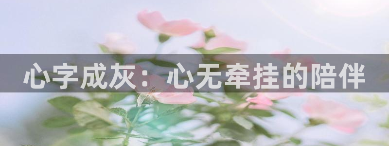 耽美漫画